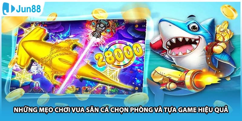 Những mẹo chơi Vua Săn Cá chọn phòng và tựa game hiệu quả