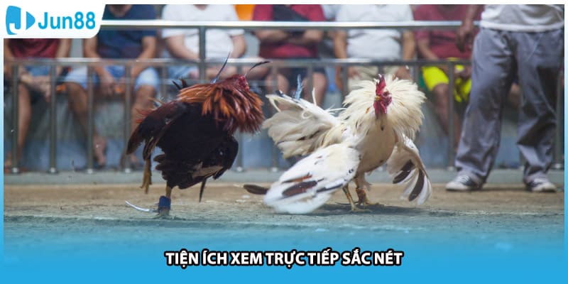 Tiện ích xem trực tiếp sắc nét